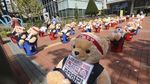 Wow! Boneka Beruang Ini Gantikan Peran Pendemo