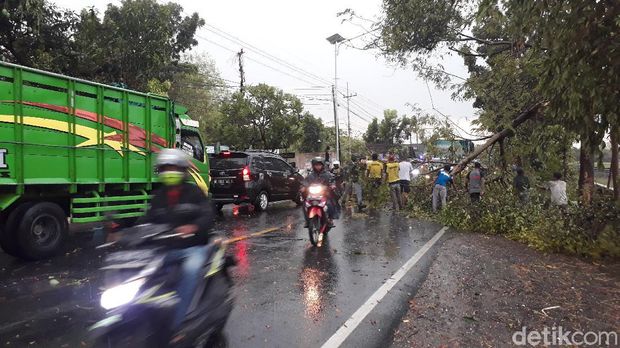 angin kencang di bojonegoro
