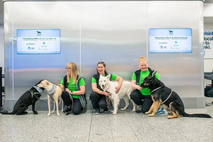 Bandara Helsinki, Finlandia memulai program pendeteksi virus Corona dengan menggunakan jasa anjing. Ya para anjing itu diklaim akan bisa mengendus bau Corona dari penumpang di bandara.