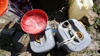 Air sumur tersebut untuk mandi dan minum ternak.