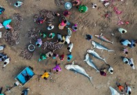 Drone Photo Awards 2020