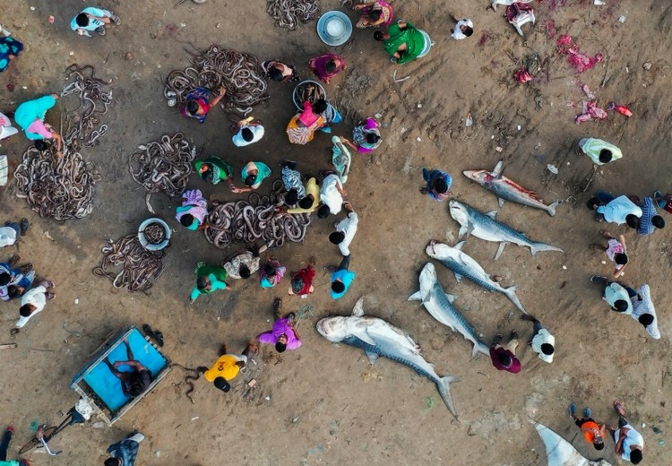 Drone Photo Awards 2020