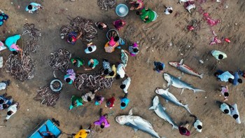 Jawara kategori Series diraih Srikanth Mannepuri yang mengisahkan soal kerakusan manusia dan konsumsi berlebih.  Foto: Drone Photo Awards