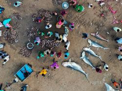 Suguhan Karya Jawara Kontes Drone Bikin Mata Terpana