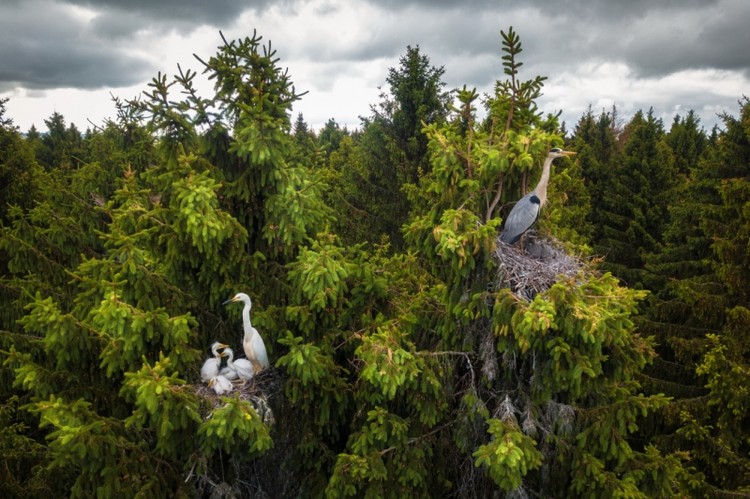 Drone Photo Awardsn 2020