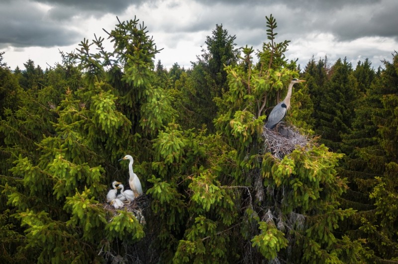Drone Photo Awardsn 2020
