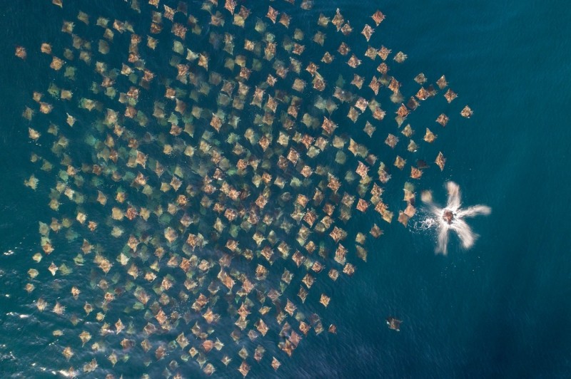 Drone Photo Awardsn 2020