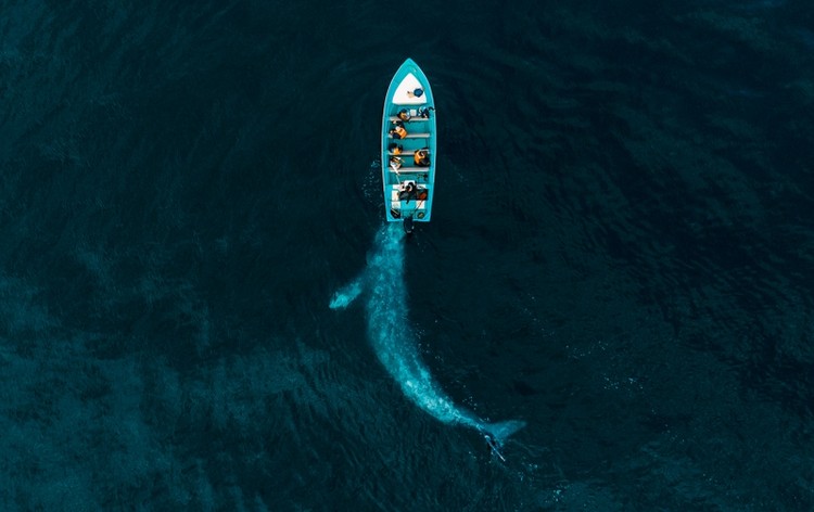 Drone Photo Awardsn 2020