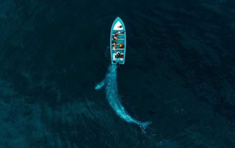 Drone Photo Awardsn 2020