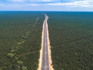 Gimana Biaya Logistik Mau Turun, Lewat Tol Juga Masih Dipalak Preman