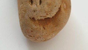 Kentang pun jadi seperti punya wajah. Foto: Brightside