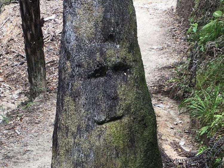 Fix! Kamu Alami Pareidolia Jika Melihat Wajah di Foto-foto Ini