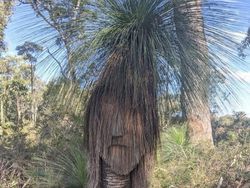 Asap Merapi dan Aneka Contoh Fenomena Pareidolia