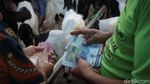 Geliat Jual Beli Kambing di Purworejo Saat Pandemi COVID-19