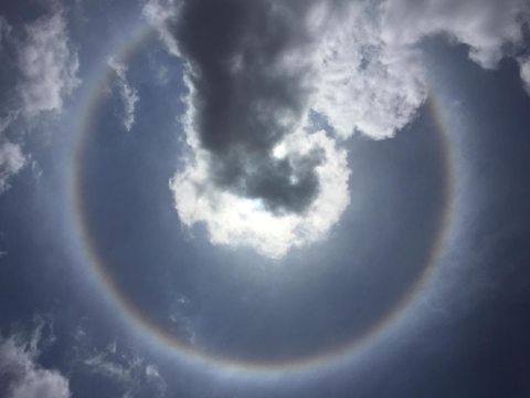 halo