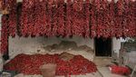 Potret Desa Paprika di Serbia