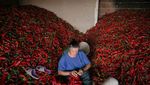 Potret Desa Paprika di Serbia
