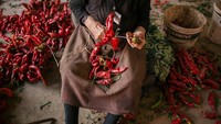 Proses menjemur paprika di desa ini cukup unik. Benang panjang digunakan warga untuk menyusun paprika-paprika tersebut setelah kemudian akan dijemur di pekarangan rumah mereka. 