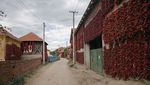 Potret Desa Paprika di Serbia