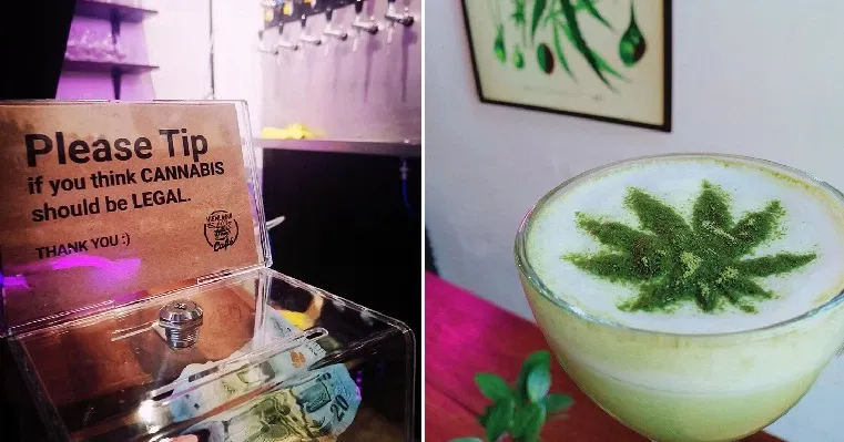 5 Kafe di Mancanegara Ini Sajikan Menu Serba Ganja