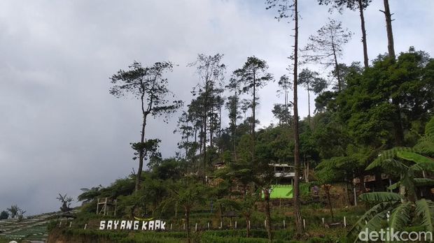 Bukit Sayang Kaak