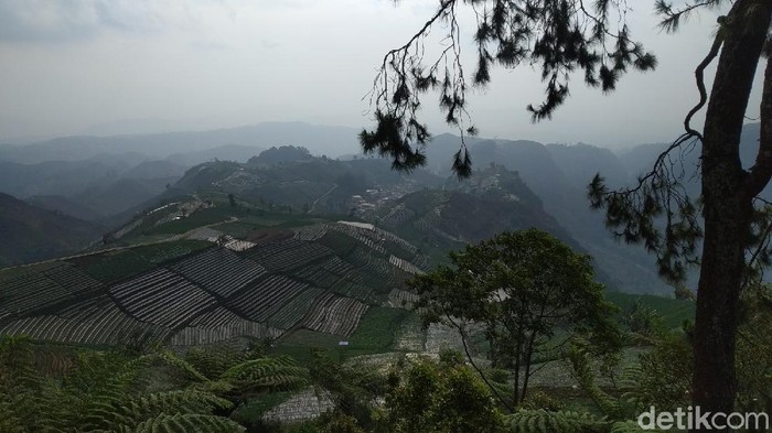 Bukit Sayang Kaak