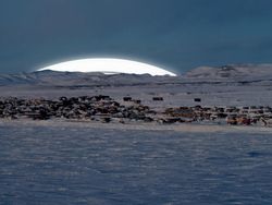 Begini Jadinya Kalau Bumi Punya Cincin Seperti Saturnus