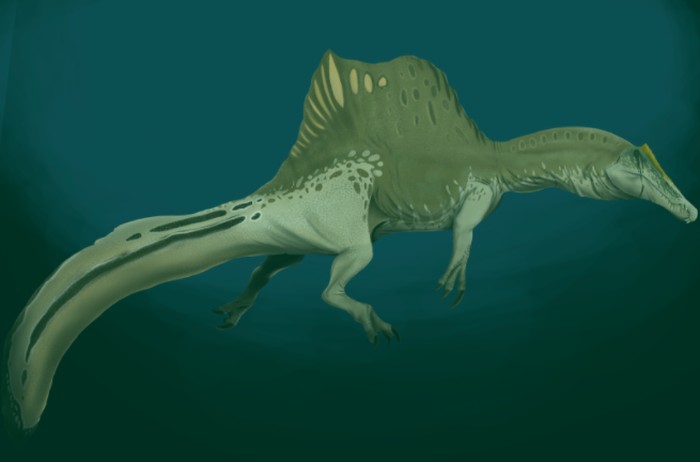 Fosil dinosaurus