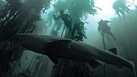 Dia dikenal sebagai Tanjung Badai. Saat orang-orang takut pada predator, dia justru takut terlempar ke batu karena gelombang besar. 