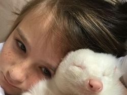 Penampakan Hewan Albino yang Langka dan Mempesona