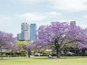 Australia Dibuka Lagi untuk Pelancong yang Memenuhi Syarat 
