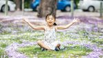 Melihat Keindahan Pohon Jacaranda di Australia