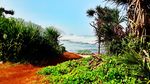 Foto: Pantai Watu Bolong yang Eksotis di Gunungkidul