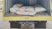Ratusan kg ganja itu disembunyikan dalam truk yang sudah dimodifikasi.