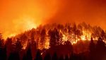 Kebakaran Hebat California Dipicu Perubahan Iklim