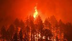 Kebakaran Hebat California Dipicu Perubahan Iklim