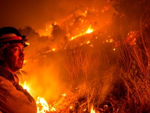 Perubahan Iklim Picu Tren Kebakaran Hutan California