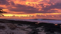 Pulau Asu nan mempesona di Nias juga tak kalah indah. Ada berbagai terumbu karang yang beraneka warna. Pesona sunsetnya pun sangat memukau. (Asu Camp/instagram)