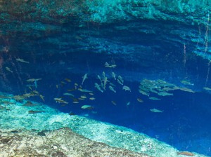 Hinatuan Enchanted River, Sungai Cantik Tanpa Dasar yang Dihuni Peri