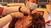 Seorang pemilik memeruk elat hewan peliharaannya yang divaksin oleh petugas.