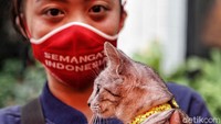 Ditargetkan sebanyak 100 hewan penular rabies bisa mendapat layanan kesehatan ini.