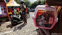 Pelayanan kesehatan gratis ini untuk memperingati Hari Rabies se-Dunia.
