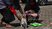 Dinas KPKP DKI Jakarta memberikan layanan ini dengan bekerjasama dengan komunitas penyayang hewan dan dokter hewan praktisi.