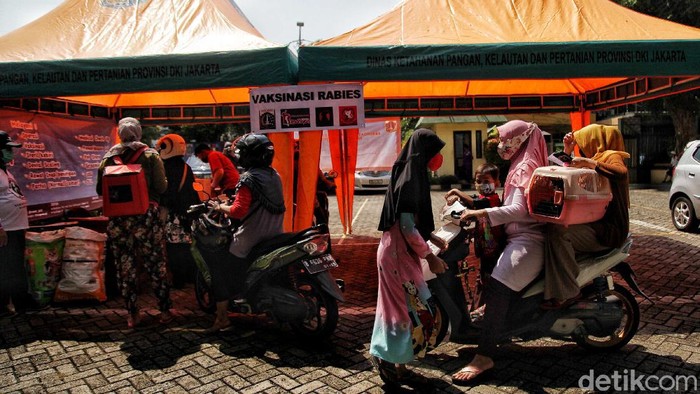 Vaksin Rabies via Drive Thru di Dinas KPKP DKI Jakarta Dokter hewan memberikan vaksin rabies kepada kucing dan anjing di kawasan Dinas Ketahan Pangan, Kelautan dan Pertanian Provinsi, Gunung Sahari, Jakarta, Senin (28/9). Pihak Dinas KPKP memberikan pelayanan vaksin rabies gratis via drive thru (kendaraan) kepada hewan kucing dan anjing untuk memperingati hari rabies sedunia.