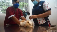 Sebelum dilakukan penyuntikan rabies, setiap jenis binatang dilakukan pengecekan, seperti penimbangan dan juga pengecekan suhu tubuh.