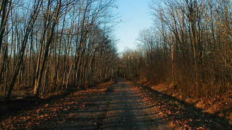 Boy Scout Lane di Stevens Point, Winconsin Di Amerika Serikat terdapat jalan-jalan yang menyimpan kisah horor melegenda. Mulai dari penampakan sampai teror hantu pernah dialami masyarakat yang tinggal di sekitar jalan itu.