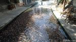 Daya Tarik Wisata Sungai Water Gong Klaten Jawa Tengah