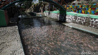 Daya Tarik Wisata Sungai Water Gong Klaten Jawa Tengah