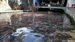 Daya Tarik Wisata Sungai Water Gong Klaten Jawa Tengah