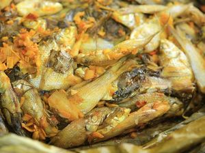7 Fakta Ikan Wader Terancam Punah gegara Limbah